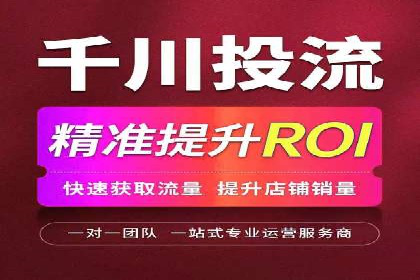 电商行业SEM运营的挑战与成功案例